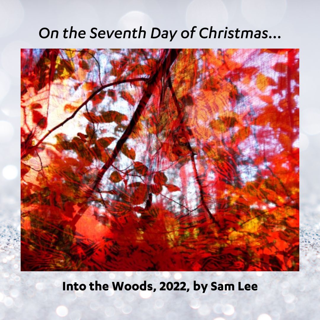 To mark the 12 days of Christmas we are sharing 12 artworks by our members!⁠ ⁠ On the seventh day of Christmas... ⁠ Into the Woods 2022 by Sam Lee