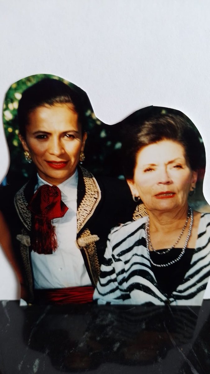 DQP Ana Ofelia Murguía una de las mejores actrices de su generación, en Los Motivos de Luz su respiración, sus miradas sus silencios, su maldad para con la nuera, Patricia Reyes Spindola está grabados en mi memoria con la Plata indeleble del celuloide