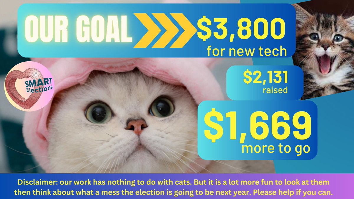 Our work has nothing to do with cats. But cats know elections need nonpartisan watchdog groups making sure the process is fair & the outcome is accurate. Plz help us get new computers for our work. A MATCHING FUNDS GRANT DOUBLES YOUR GIFT. Thank you! paypal.com/donate/?hosted…