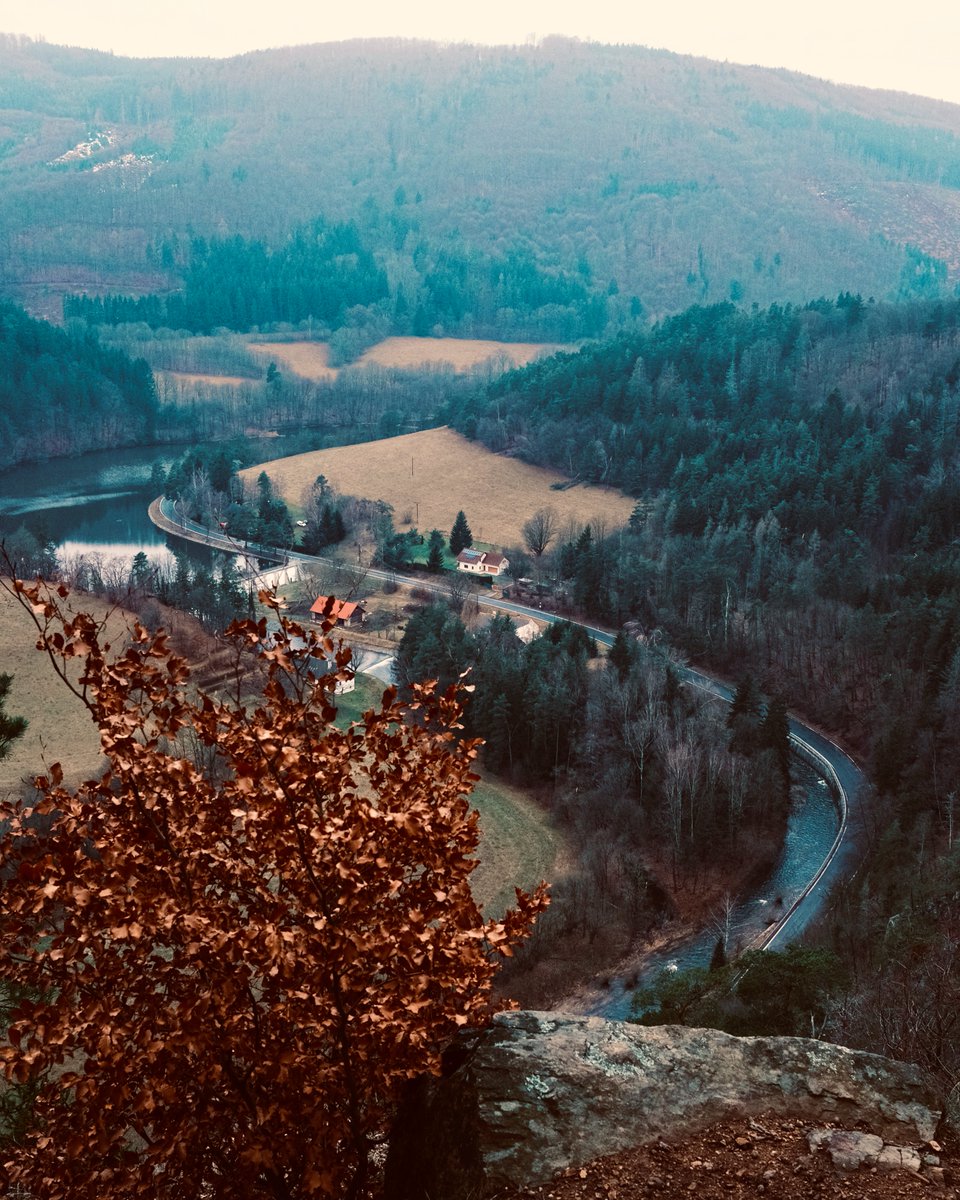 dontpanicv's tweet image. 364/365 photo challenge

#fujifilm #fujifilmxseries #365photochallenge #picaday #photooftheday #photography #daychallenge #photoaday #365project #picoftheday #sooc #x100v