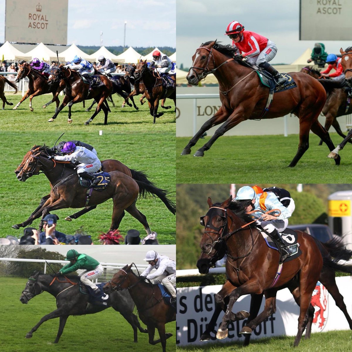 We finish 2023 with a total of 104 winners (96🇬🇧Flat 3🇩🇪 2🇫🇷 1🇮🇹 & 2🇬🇧Jumps) headlined by Bradsell’s Group 1 King’s Stand Stakes win, part of a Royal Ascot Treble, and Brave Emperor’s five Stakes wins. Thank you to all our owners and staff. Here’s to a great 2024! Happy New Year!