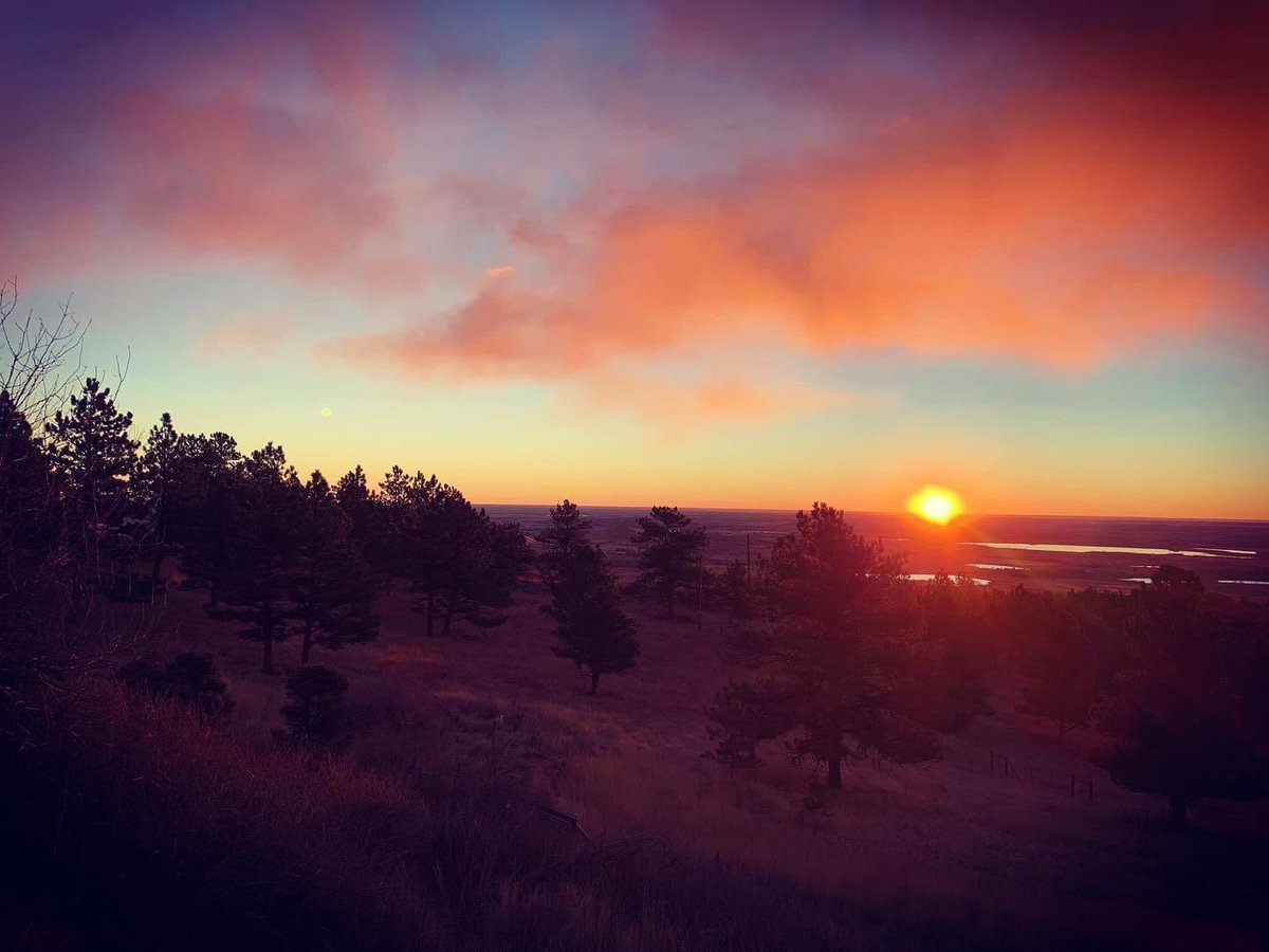 summersdodge's tweet photo. To my community around the world: 

May all imbue and be infused this New Year with good health, peace, joy, compassion, prosperity, protection and unconditional love.  

HOPE and LIGHT 
Dodge https://t.co/Nl95KnKmYU