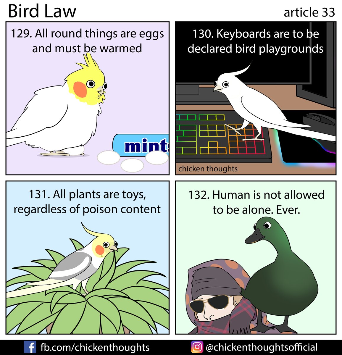Bird law article 33 starring Nari, @fifinabird, Pepper, and Snipps (A duckys tale)!