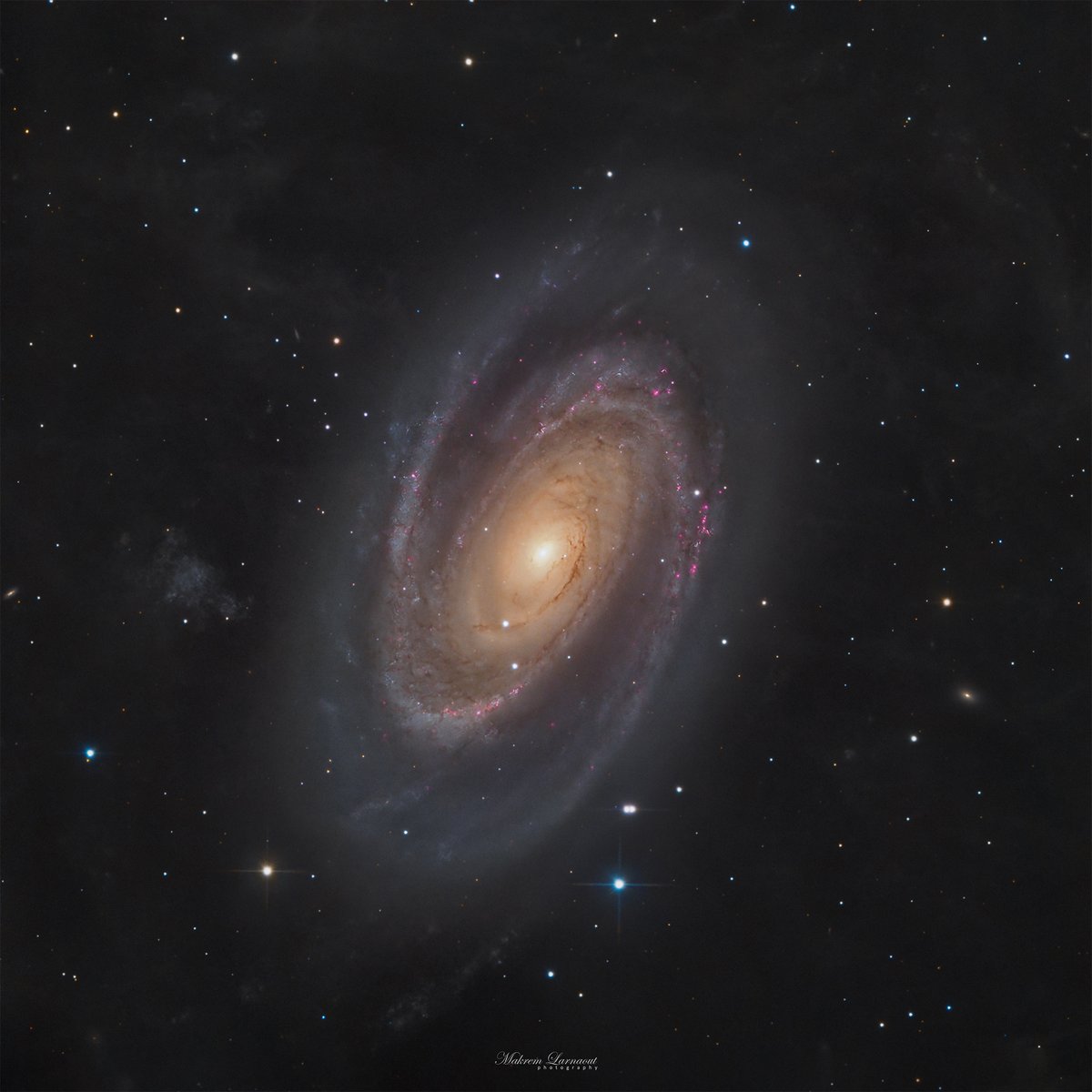 The Royal Astronomical Society tweet media