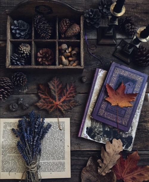 vanteart's tweet image. 𓂃⊹˙⋆    𝑳𝒊𝒗𝒓𝒐𝒔 𝒍𝒊𝒅𝒐𝒔 𝒅𝒆 2024  𓂃⊹˙⋆

𝐴𝑐𝑟𝑒𝑑𝑖𝑡𝑜 𝑞𝑢𝑒 𝑒𝑥𝑖𝑠𝑡𝑒𝑚 𝑚𝑢𝑖𝑡𝑎𝑠 𝑜𝑢𝑡𝑟𝑎𝑠 𝑝𝑜𝑠𝑠𝑖𝑏𝑖𝑙𝑖𝑑𝑎𝑑𝑒𝑠 𝑎𝑙𝑒𝑚 𝑑𝑒 𝑓𝑖𝑛𝑎𝑖𝑠 𝑓𝑒𝑙𝑖𝑧𝑒𝑠 𝑜𝑢 𝑡𝑟𝑎𝑔𝑒𝑑𝑖𝑎. 

   • a thread: