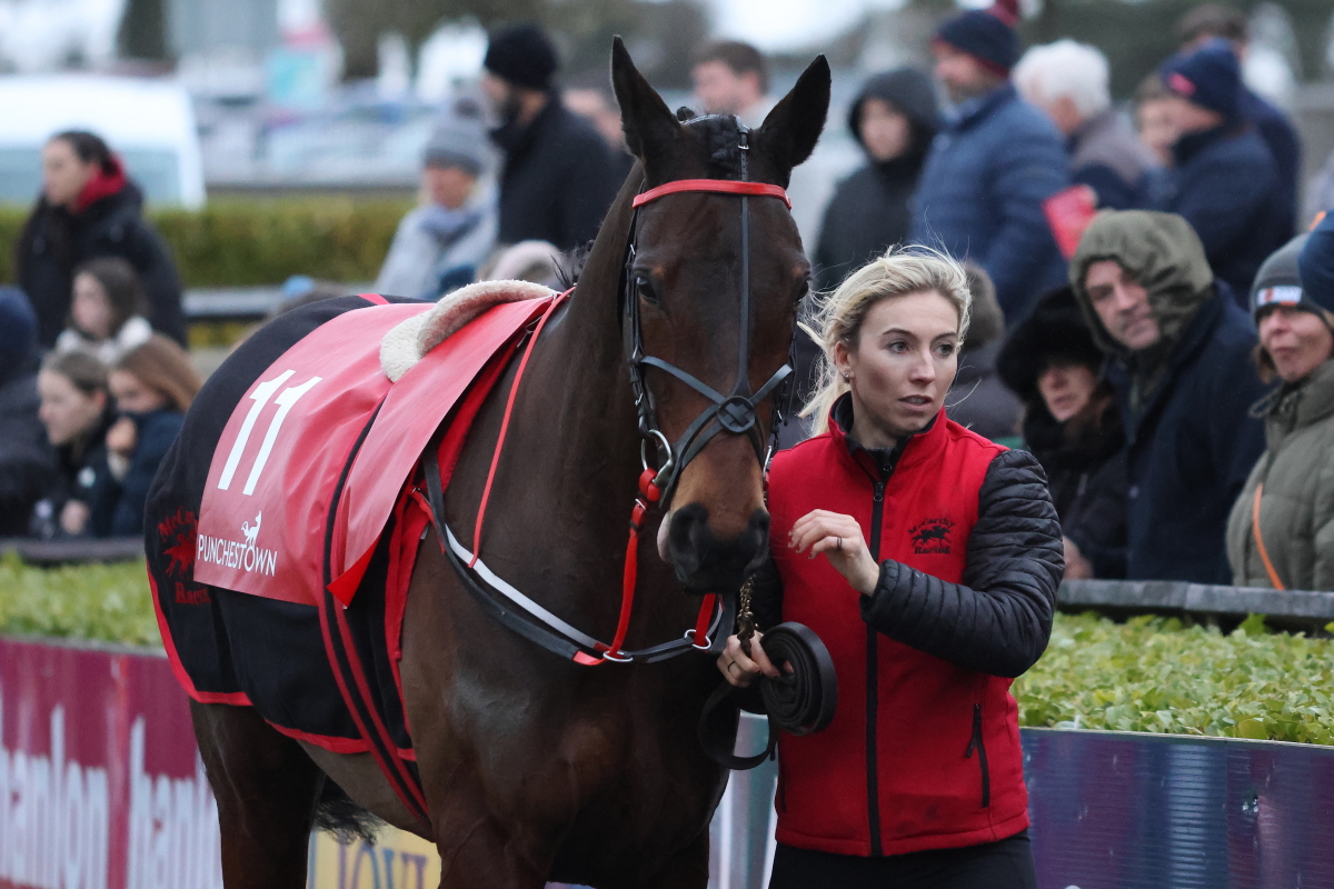 davidbetts3213's tweet photo. Final BTO's of 2023 @thetotecom New Years Eve Racing @punchestownrace, fantastic work put in by the grooms. Races 5-7: R5 All About Lucy, Eoin McCarthy; R6 Verbal Sparring, Desmond McDonagh; R7 Glendaars Fortune, @FaheyRacing https://t.co/yFFmCuQkKL