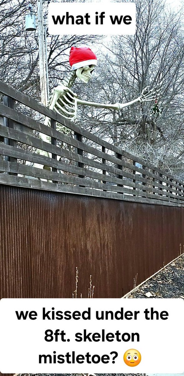 Teirusu Reynard テイルス レイナード 🇺🇲 (@tails_155) on Twitter photo 