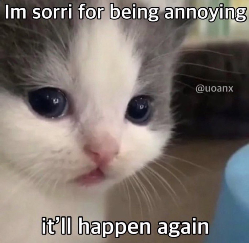 LiterallyMeCats (@literallymecats) on Twitter photo 