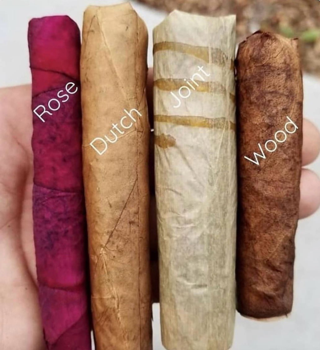 HighAngel's tweet photo. Which one would you choose? https://t.co/wwIp0incS1