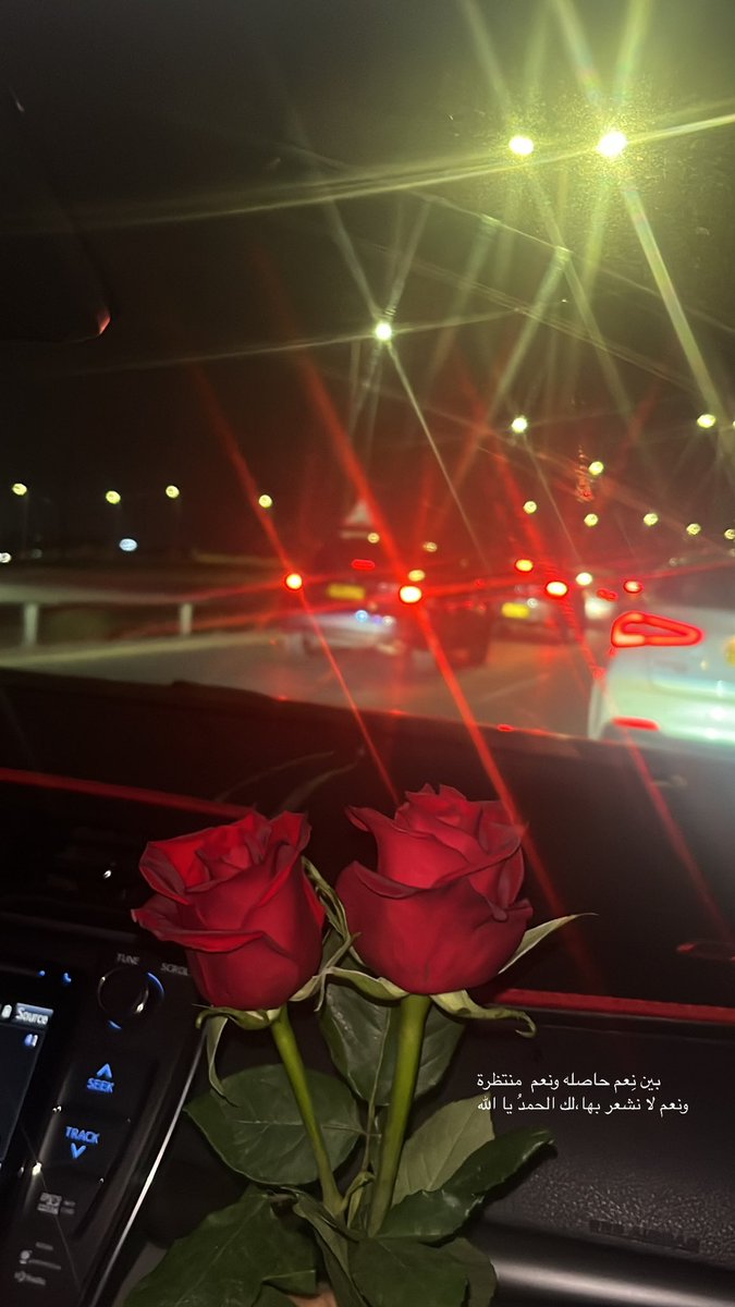 Lool573483854's tweet photo. هذه الوردة أكثر حظاً لأنها بين يديك🥀✨✨ https://t.co/tfxobJ3XrA