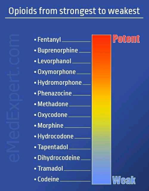 pharmahub_'s tweet photo. opioids from strongest to weakest https://t.co/JXiOPc22qT