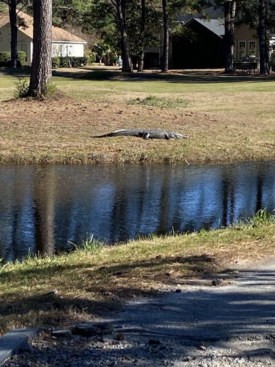 Mark  Noel tweet media