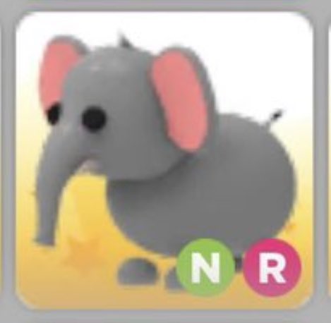 「 ✦ neon elephant giveaway ✦ 」

₊ ⊹ follow me + <a href="/LStrozinsky/">Lynn Strozinsky</a> 
 ₊ ⊹ like + retweet

——————————
extras : rt w tags + tag 1-3 friends