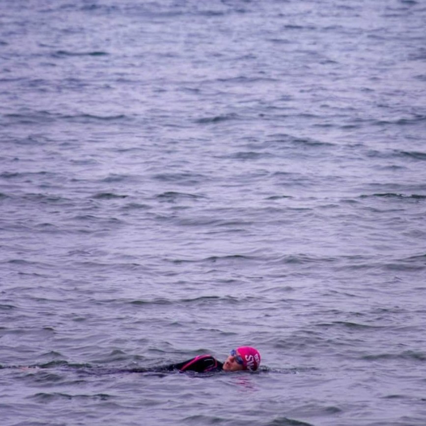 Paula McGuire tweet media