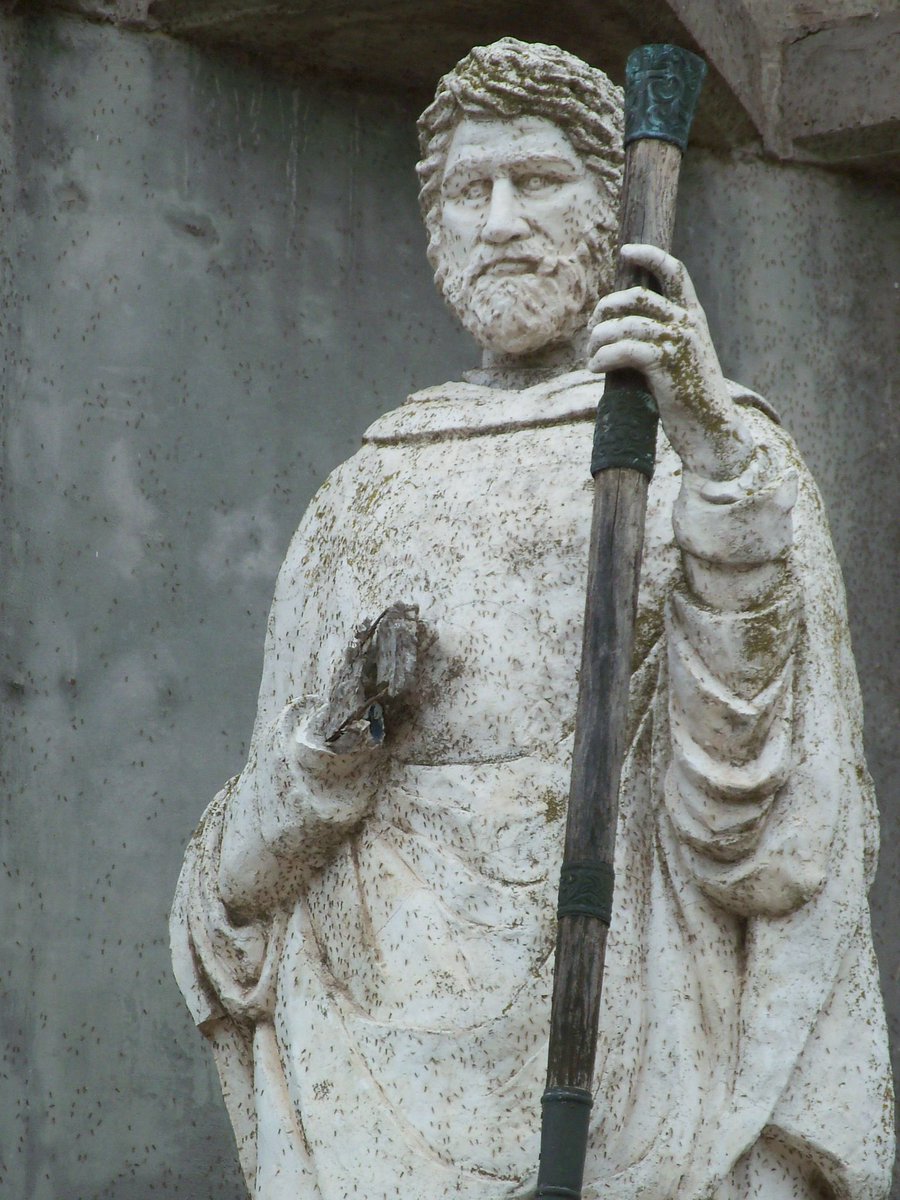 Lepanto Institute tweet media