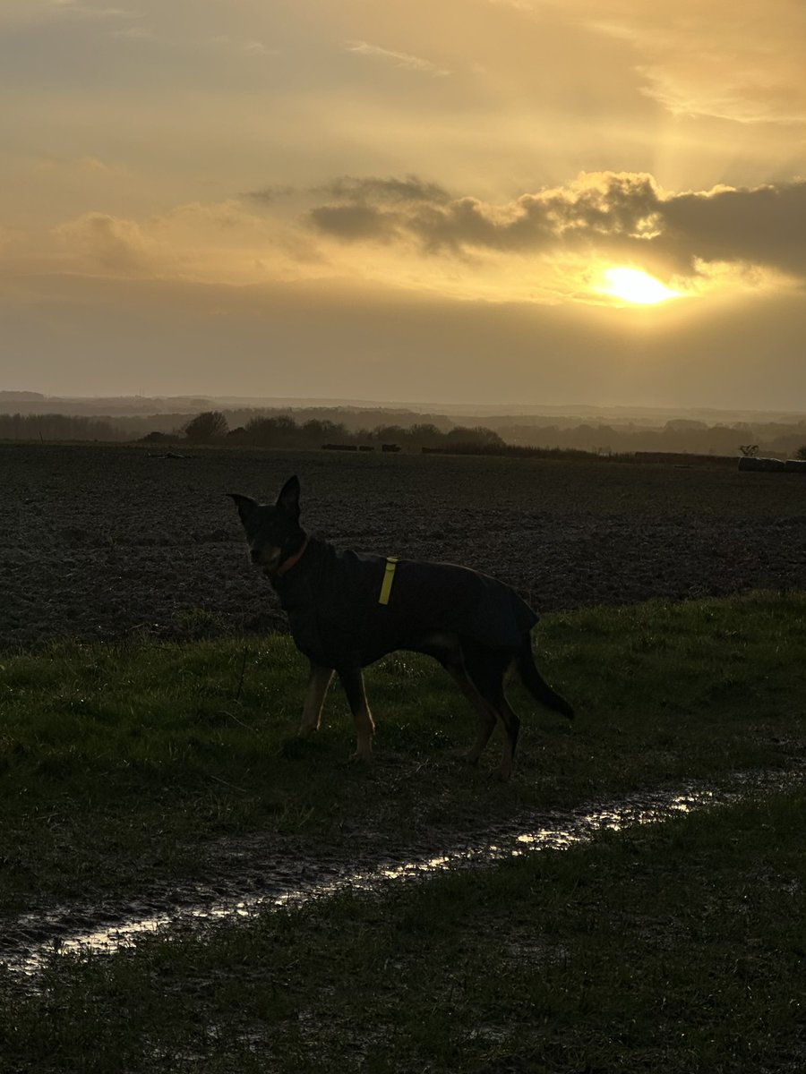 oldboystraining's tweet photo. Wishing you all a great New Year filled with happiness, laughter and with endless possibilities👊 May 2024 be your best year yet 👊👊
Keep Pushing 👊
Don’t Ever Give Up 👊
#newyear #bepositive #beconsistent #setgoalsnotlimits #enjoylife #liveyourbestlife #adventuretime #family https://t.co/aOBJdmzZyx