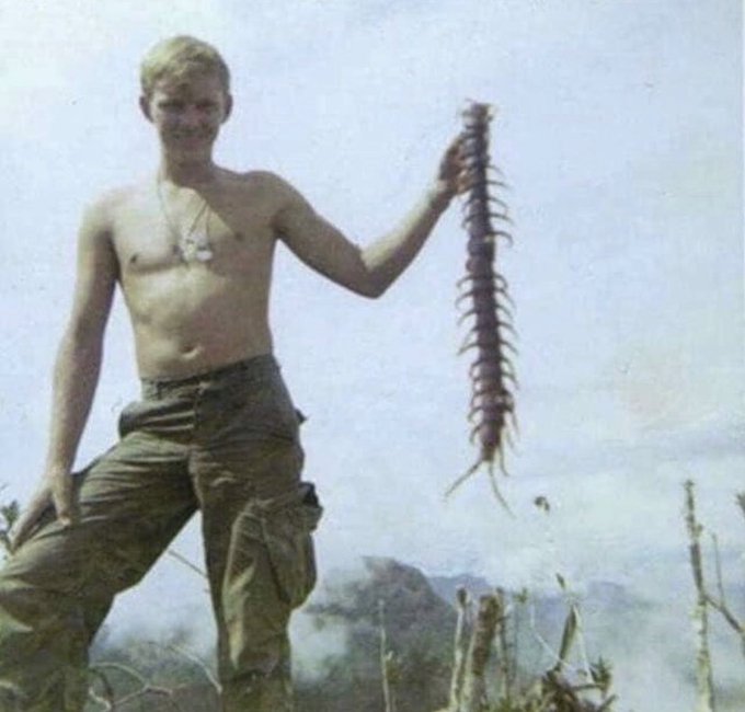fasc1nate's tweet photo. An American soldier in Vietnam holds up a Scolopendra subspinipes, a species of giant centipede found throughout Asia.     

While a great photo, this is an example of forced perspective. Scolopendra subspinipes typically only reach 8 inches in length and aren't even the largest species of giant centipede.     

Despite that, this is a great photo.