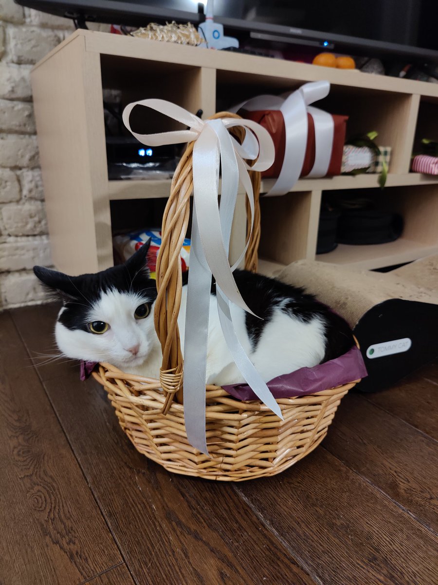 6939945's tweet photo. @50pets Подарочек готов https://t.co/blvqEN938L