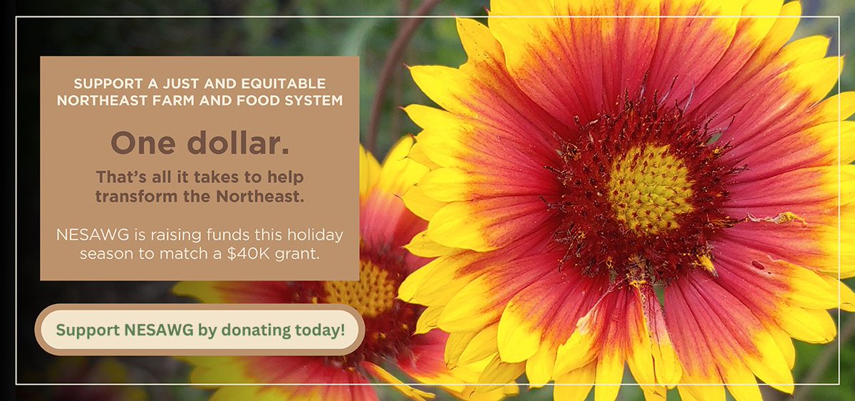Your donation helps water seeds of change at NESAWG and the entire Northeast! 
You can support <a href="/NESAWG/">NESAWG</a>'s work of building a just and equitable food system in the Northeast by donating here: nesawg.org/donate

Thank you for your contribution!