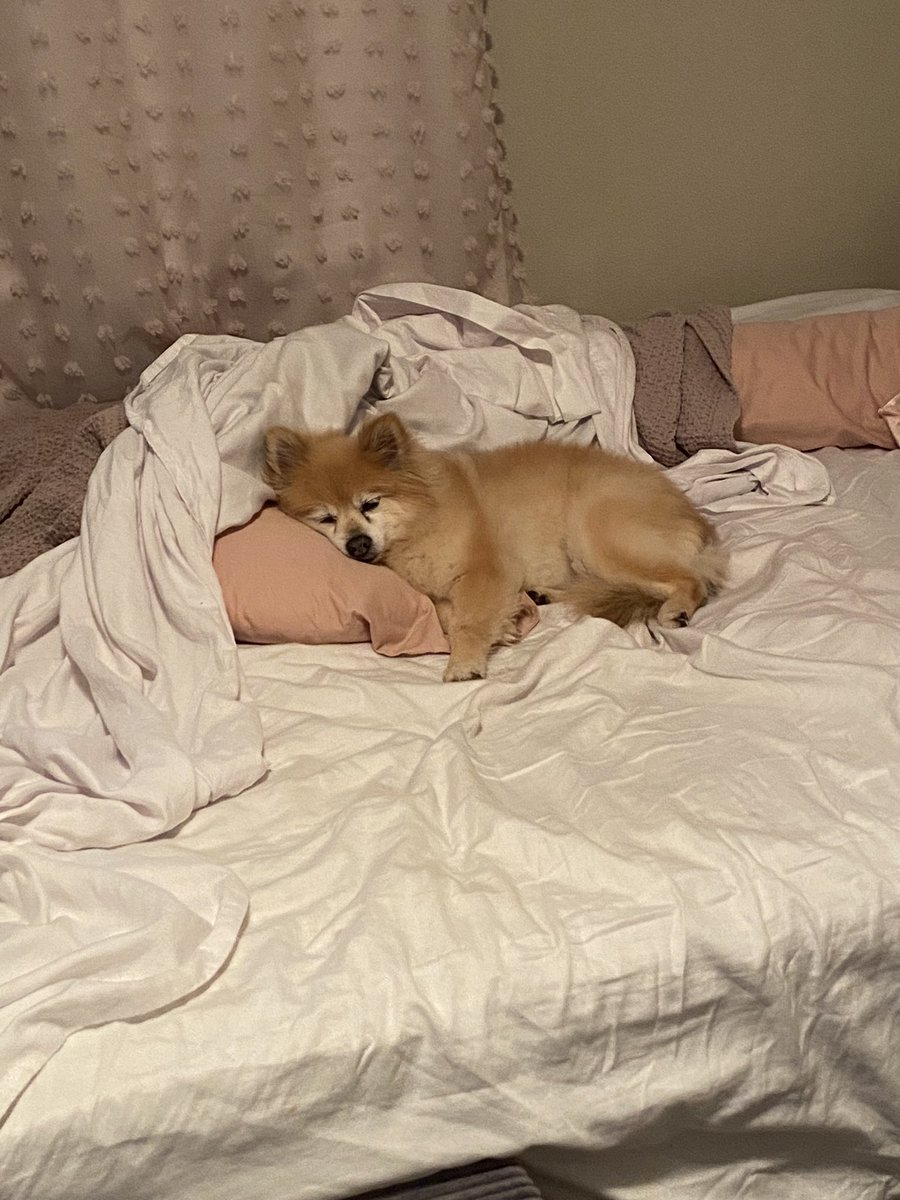 BeyonceTasi's tweet photo. Please, please don’t make the bed https://t.co/IPCKGS2lV4
