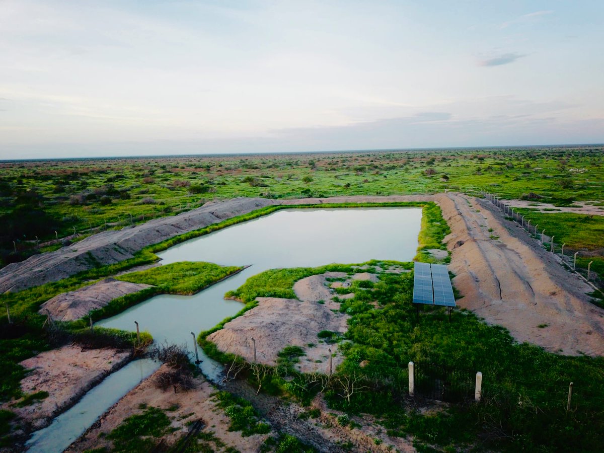 One of the biggest causes of human-wildlife conflict is severe water scarcity, exacerbated by unpredictable dry spells and prolonged droughts fueled by the escalating climate change crisis. We are collaborating with communities who call home Kenya's unique and wildlife-rich