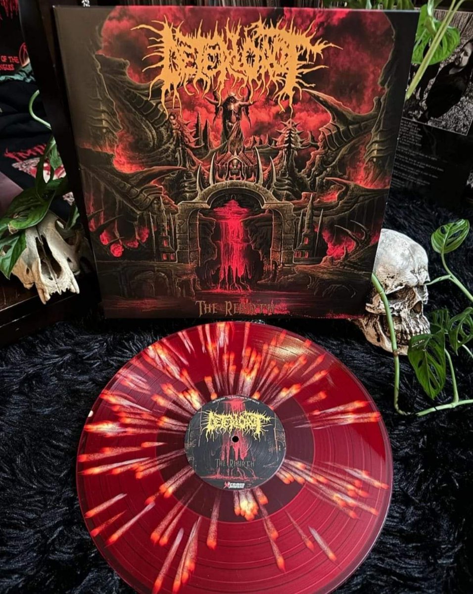 NJBCRichMan's tweet photo. https://t.co/CHZpeS4Bvk to get your vinyl of DETERIOROT - The Rebirth. Use Code njrot 25% discount #deathmetal #osdm #deteriorot https://t.co/sP2ZAT1cxH