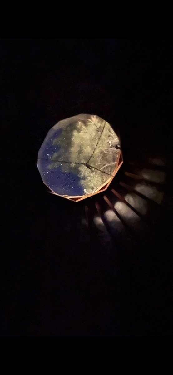 Happy New Year in 2024!! Keep believing in your dreams, be a seeker of truth, light and love and remember this life is a gift. #HappyNewYear