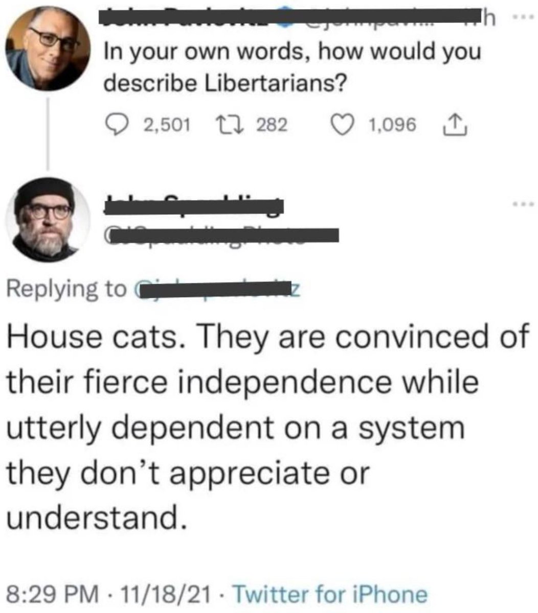 internet hall of fame (@interneth0f) on Twitter photo 