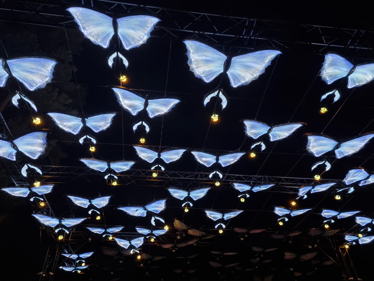 Cheers to a magical 2024!