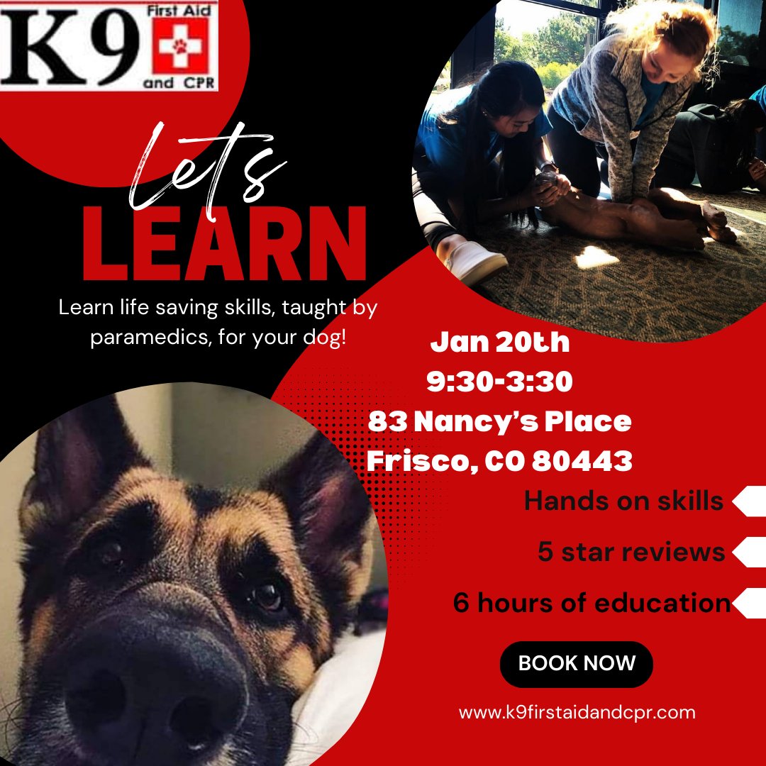 K9FirstAid_CPR's tweet image. 