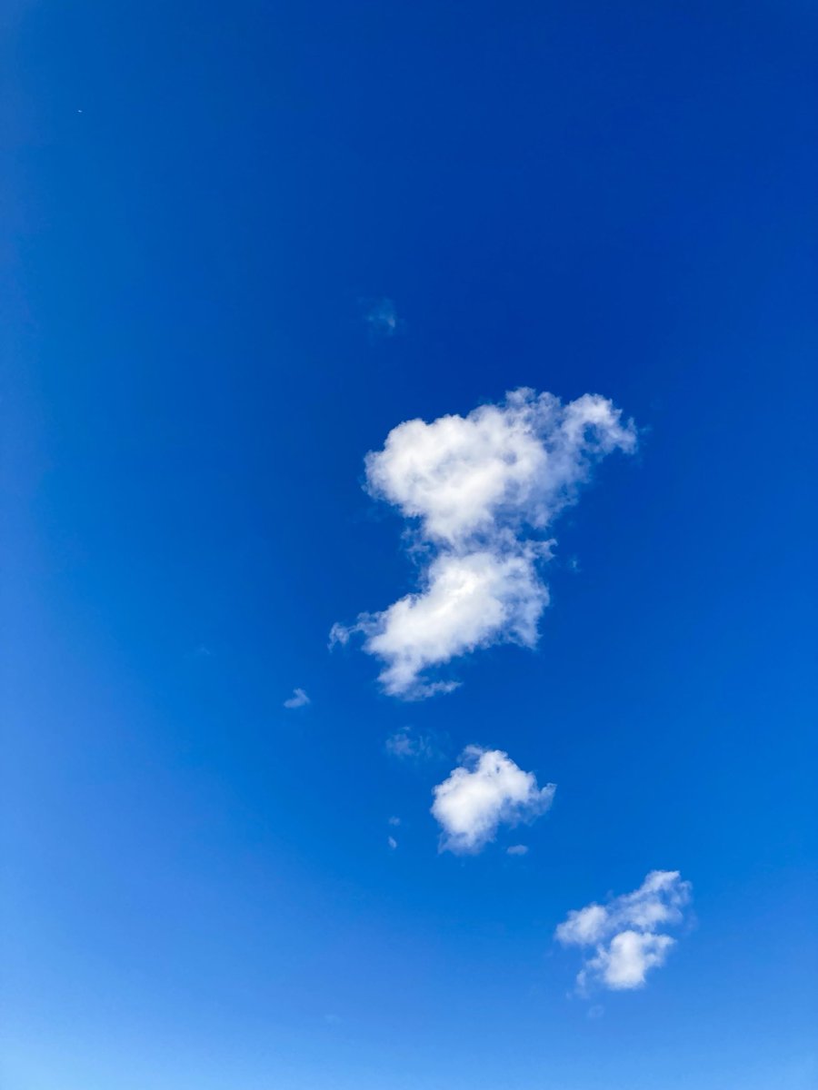 Melle_Grazie's tweet photo. #photography #photo #colorphoto #foto #fotografie #fotografía #写真 #사진 #照片 #wolken #blauweiß #himmel #clouds #bluewhite #sky #nuages #ciel #nubes #cielo #azulblanco #雲 #青く白い #空 #云彩 #天 #白云 #蓝白色#하늘 #구름 https://t.co/ujZraWn2bd