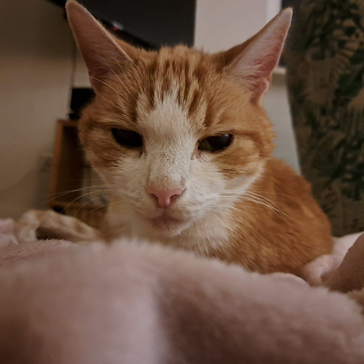 Ties van der Heide tweet media