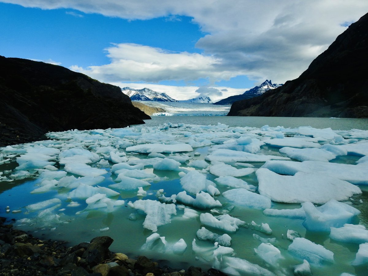 koolshark2's tweet photo. Glacier Grey, the reason for wanting to visit: seen on the first 2 days of our #wtrek. So much beauty 🏔️🦩 🌊🦙🧊every which way we looked 😍 #landscape #torresdelpaine #chile #puertonatales #patagonia #patagonianchile https://t.co/EJtGoT19dC