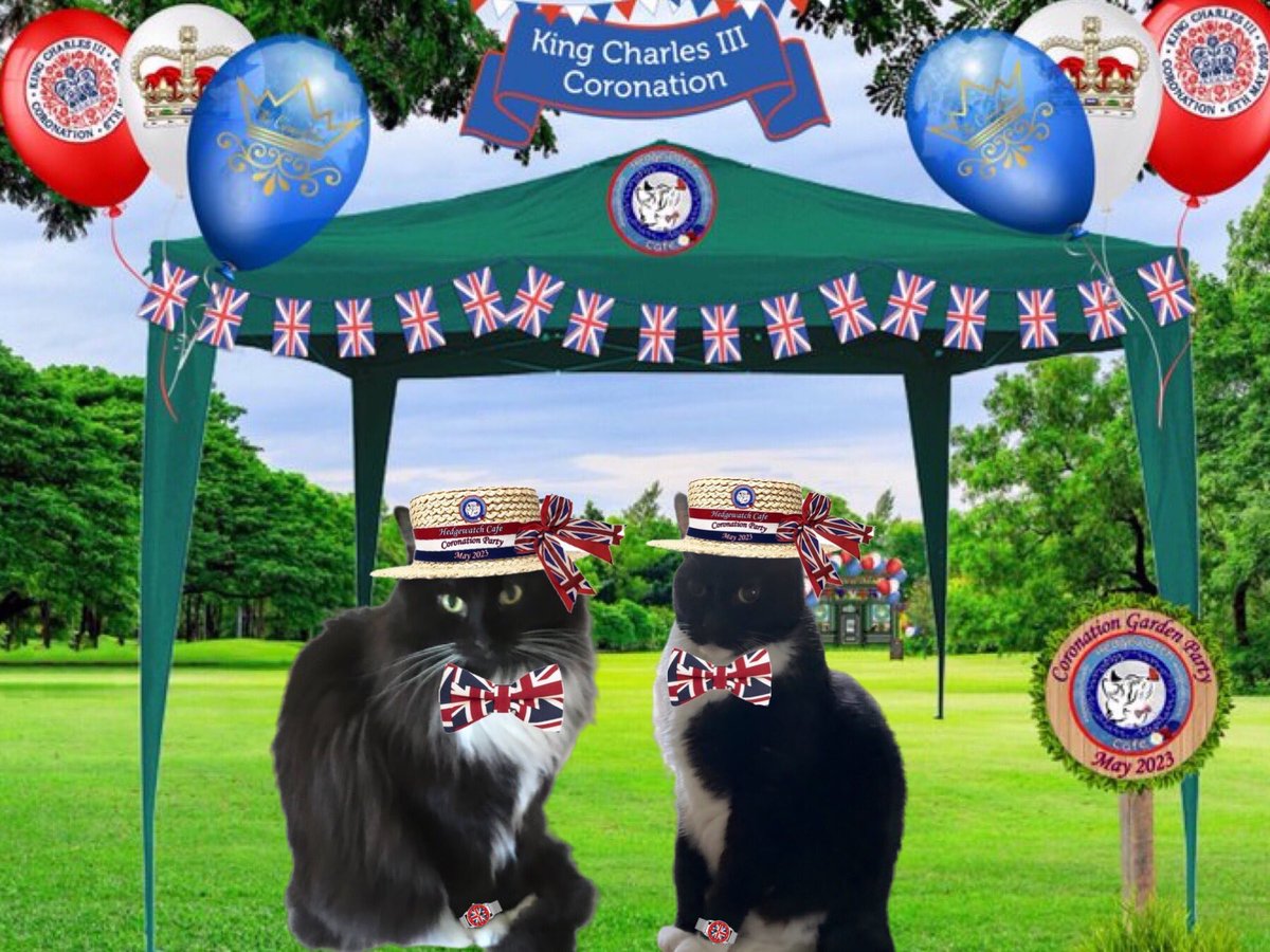 As 2023 draws to a close, we want to meow our thanks to our furends on Twitter. We are especially blessed to be part of #Hedgewatch and #hedgewatchcafe 
We wish our fellow purristas and their staff a happy 2024!