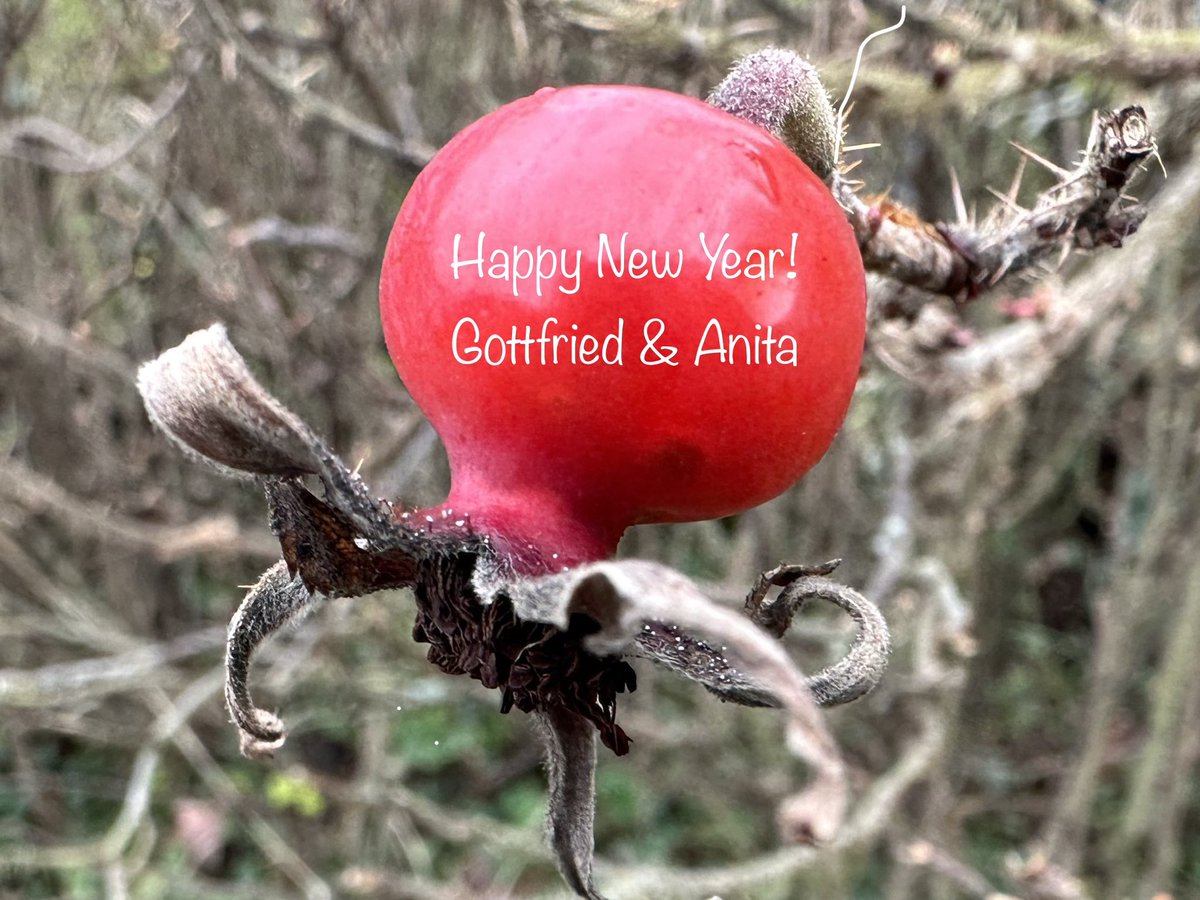 Dr. Anita Stangl (@erdferkel66) on Twitter photo 