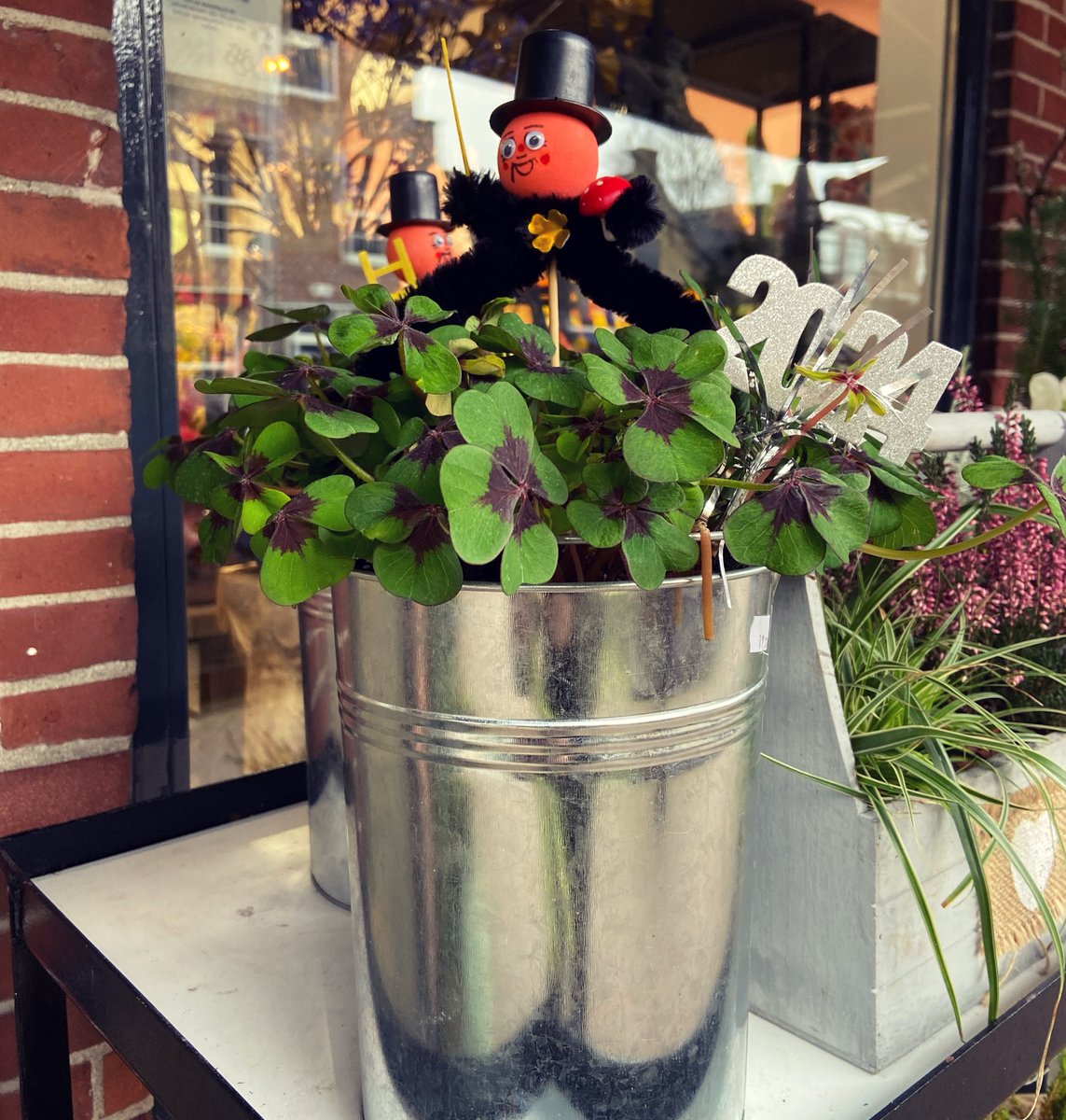 Wij wensen iedereen alvast goed uiteinde en een fleurig 2024! Bedankt voor een mooi 2023🌺

Volgende week is de laatste week kerst sale in de winkel

#2024 #HappyNewYear2024