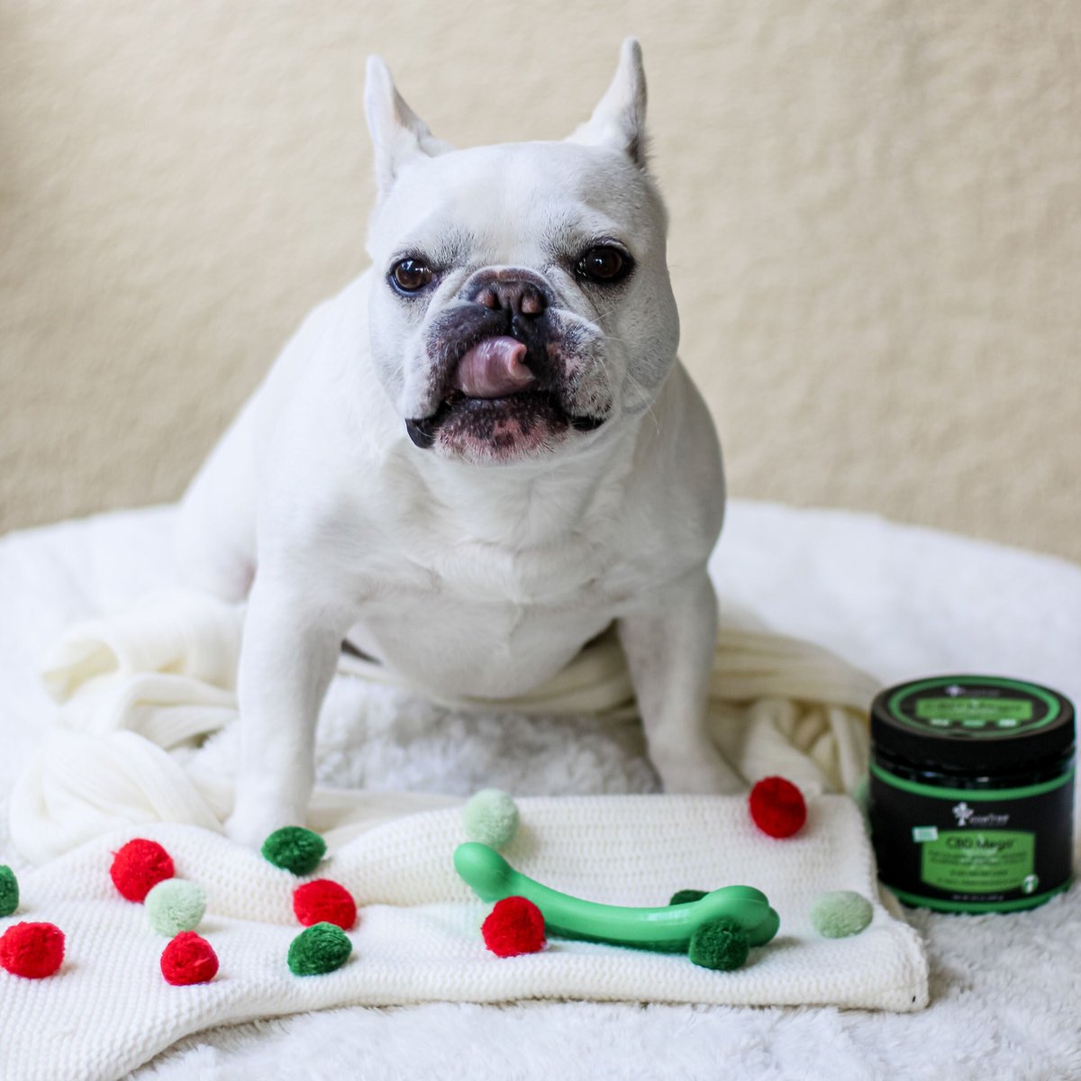 dailymomtweets's tweet image. Best Gifts for Anxious Pets 🐶 

Read more: jo.my/lwbubd

.
.
.
.
.
.
.
#mombloglove #parentblog #parentingbloggers #momsblogger #motherhoodblog #motherhoodlife #motherhoodmoments #motherhoofthroughinstagram #motherhoodalive #motherhoodsimplified #motherhoodjourney #mo