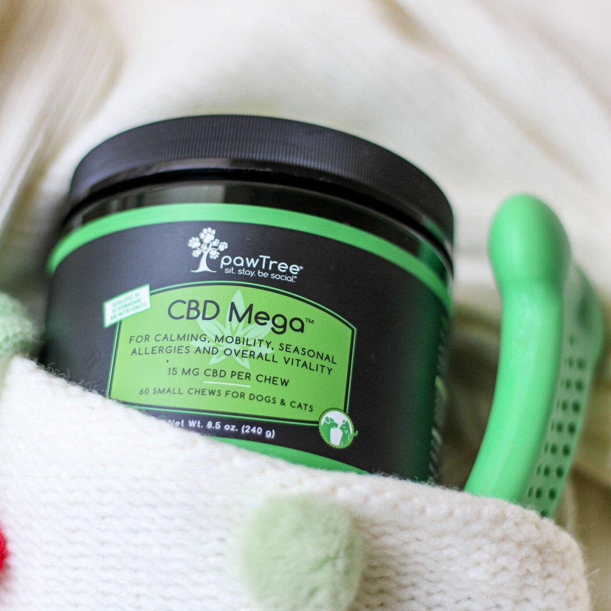 dailymomtweets's tweet image. Best Gifts for Anxious Pets 🐶 

Read more: jo.my/lwbubd

.
.
.
.
.
.
.
#mombloglove #parentblog #parentingbloggers #momsblogger #motherhoodblog #motherhoodlife #motherhoodmoments #motherhoofthroughinstagram #motherhoodalive #motherhoodsimplified #motherhoodjourney #mo