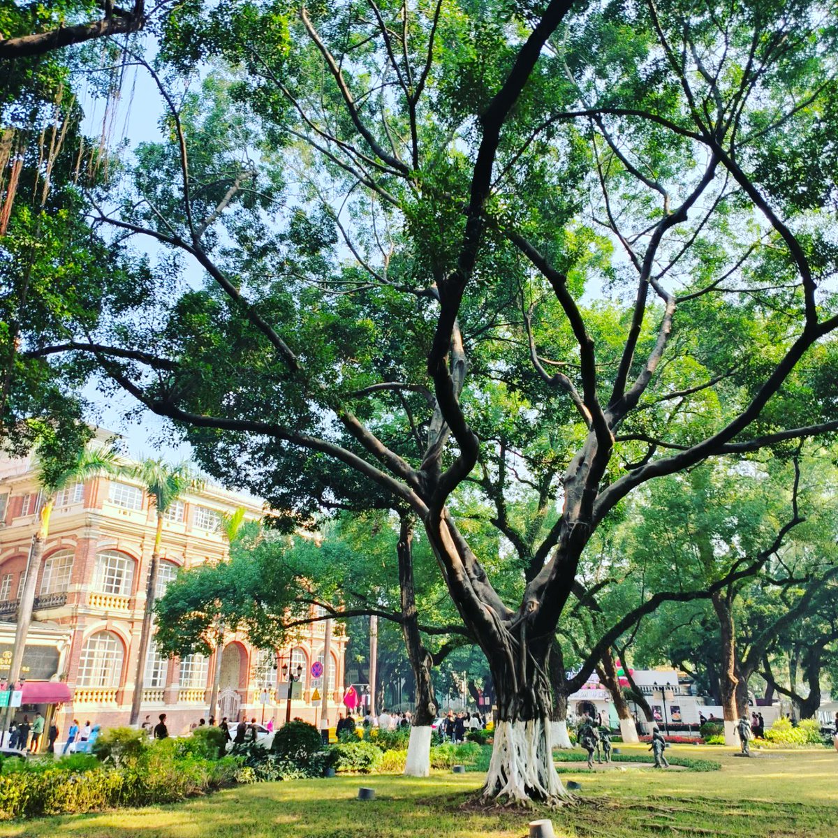 RayrenRay's tweet image. Happy New Year.