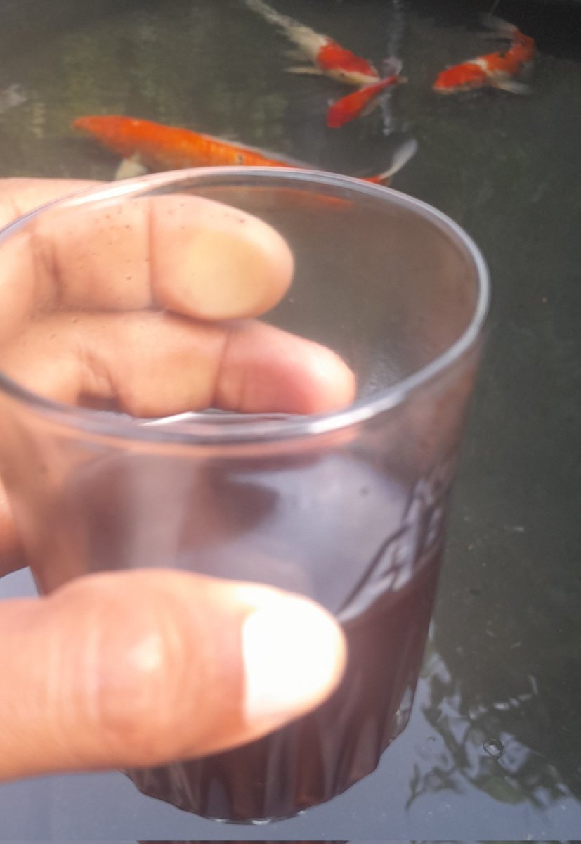 gederiky's tweet photo. kopi pagi pertama di awal tahun dan masih bikin sendiri 😁
Semoga di tahun yg baru ini selalu di berkati kesehatan,rejeki dan jodoh 😇 https://t.co/avkg2W9gq3