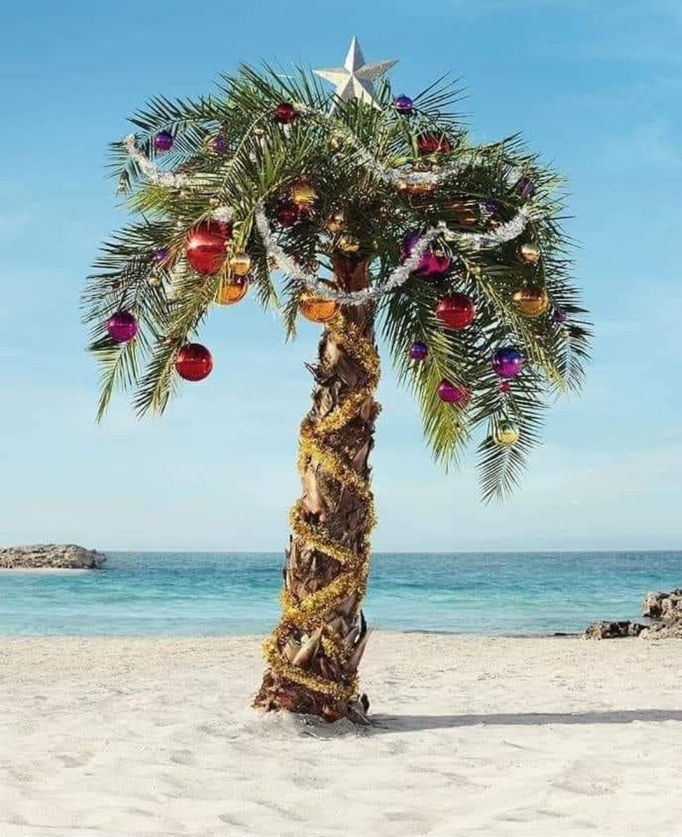 BeachMinistry_'s tweet photo. https://t.co/5uVNzmyOkO