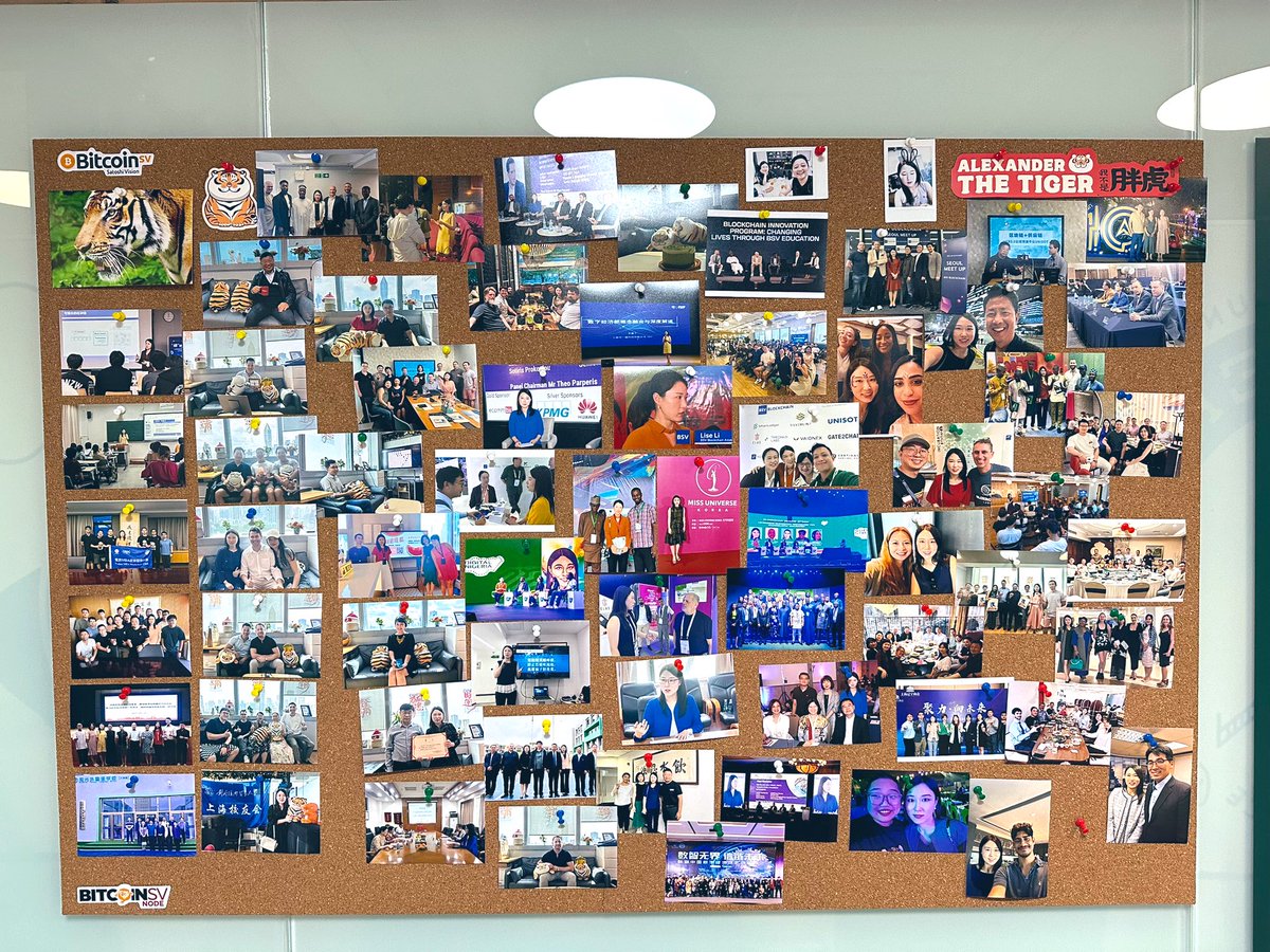 Bye 2023 👋🏻 I have a photo board in my office and I'm glad most great moments of #BSV APAC HUB during 2023 were well captured. 🌻Hello 2024🌻