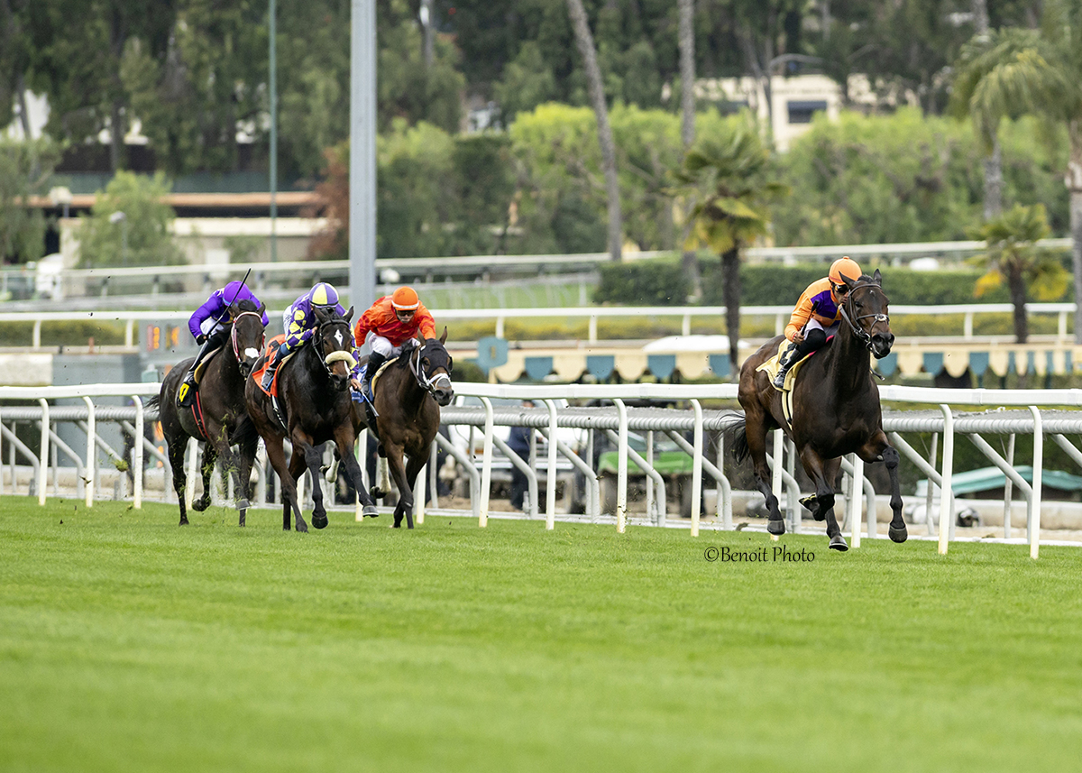 TDN (@thetdn) on Twitter photo That's a wrap! 🏆 RUBY NELL (Bolt d'Oro) takes the final U.S. stakes race of 2023, dominating the Lady of Shamrock Stakes at <a href="/santaanitapark/">Santa Anita Park</a> and flying home a 4 1/2 lengths winner on New Year's Eve.
It was the third stakes victory for the 3-year-old filly this season, adding to That's a wrap! 🏆 RUBY NELL (Bolt d'Oro) takes the final U.S. stakes race of 2023, dominating the Lady of Shamrock Stakes at <a href="/santaanitapark/">Santa Anita Park</a> and flying home a 4 1/2 lengths winner on New Year's Eve.
It was the third stakes victory for the 3-year-old filly this season, adding to