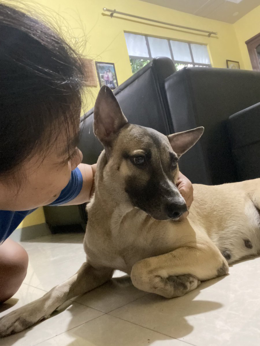 loveconcepcion's tweet photo. Mahal kita. Sobra. 💔 https://t.co/dMko5QVAkg