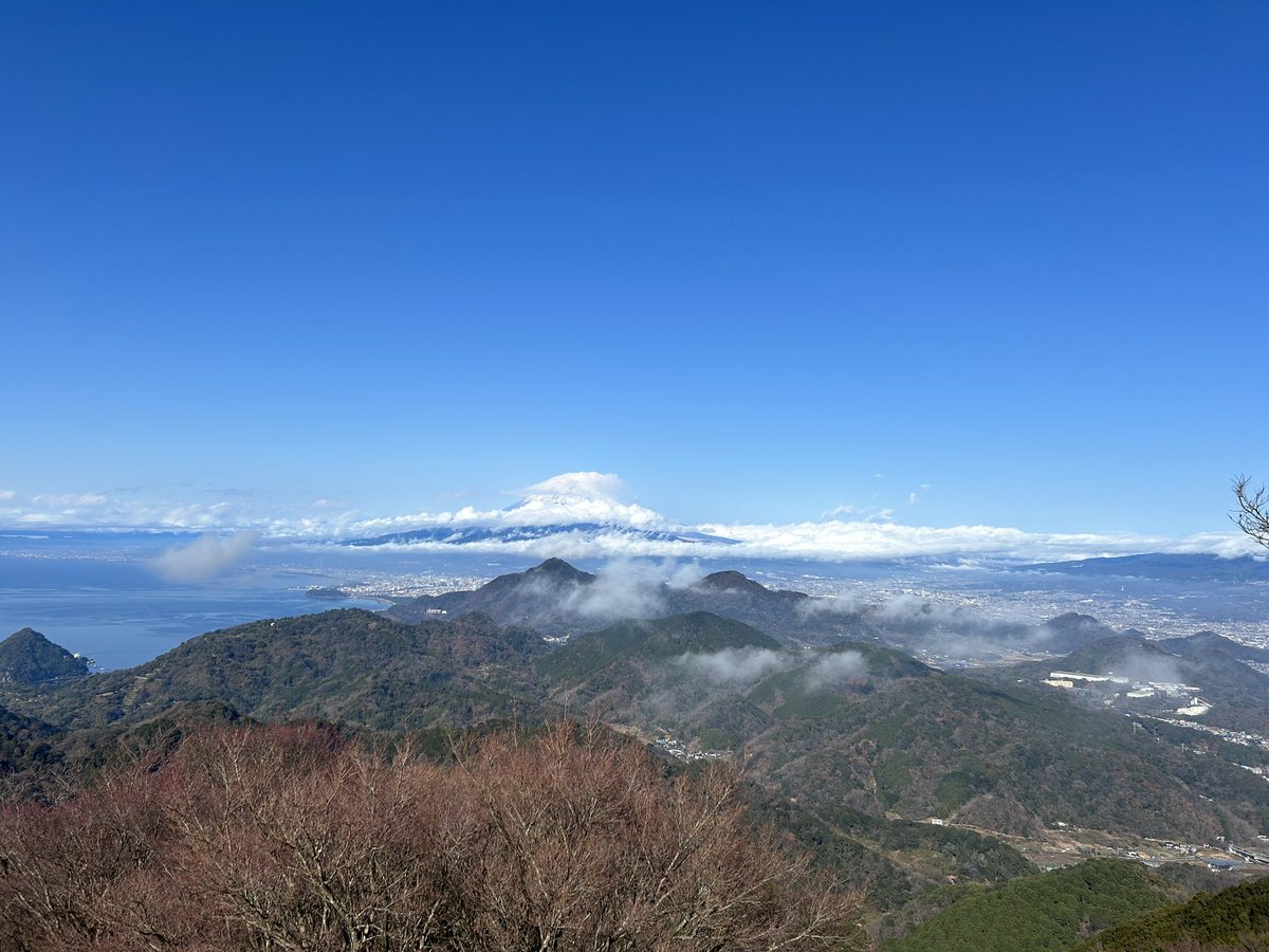 芳川庸 tweet media