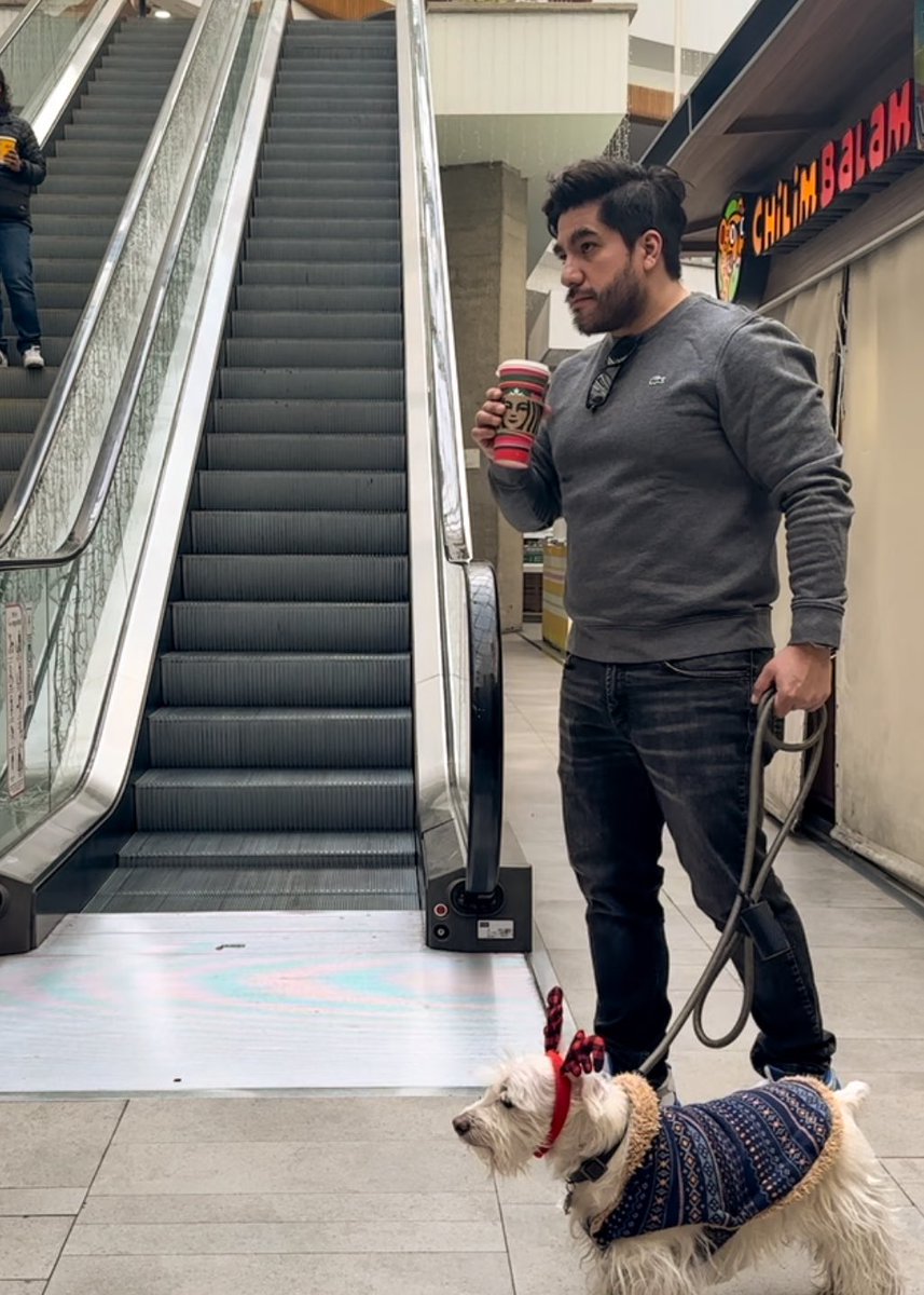 Me dicen Memo pero me llamo Temo tweet media