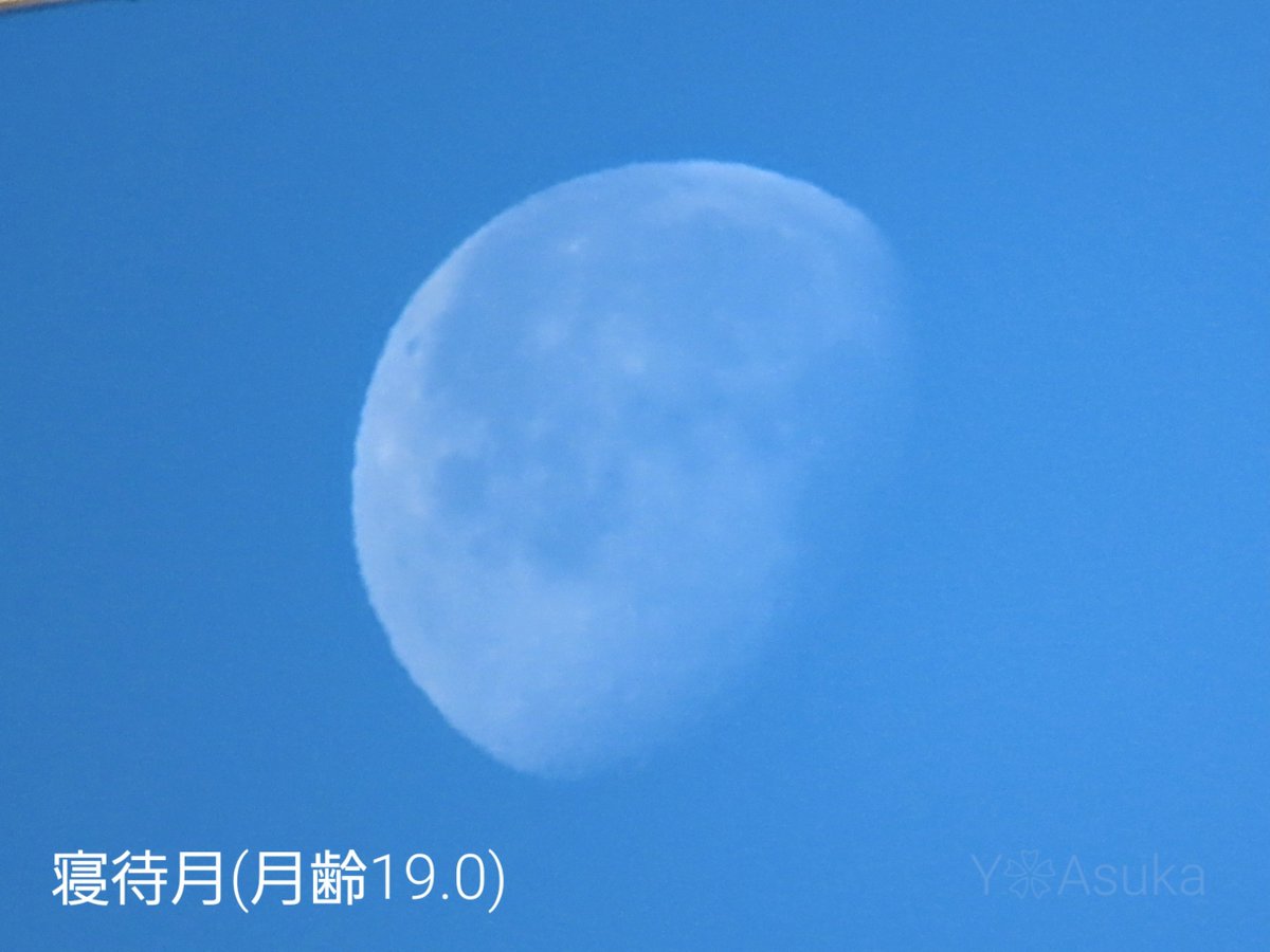 yumeasutw's tweet photo. #謹賀新年 🎍🐉🎍
北風が吹き抜ける快晴の #元旦
西の空に降りてきた
白い🌖 #寝待月 (月齢19.0.)
本年もどうぞ宜しくお願いします🙇♀️
予想最高/最低気温🌡️12℃/0℃
晴れ☀️
吹き荒れる北風に御用心🌬️➰➰👕外では防寒対策万全に🧣
#正月
#イマソラ #月
#空の名前
#天気の図鑑
#a2024 #a0101 #a202401 https://t.co/XTKQ1Vd2RM