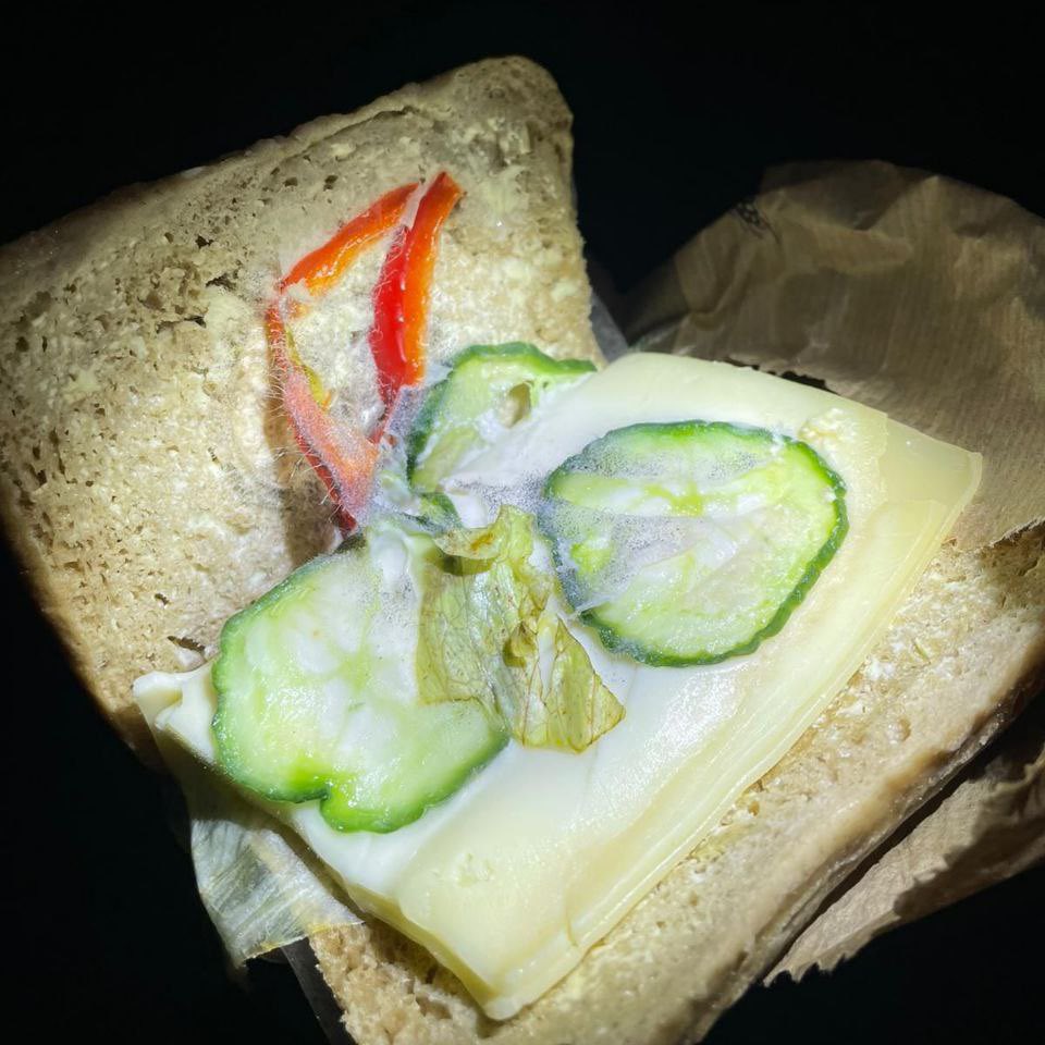 Schämen Sie sich nicht, <a href="/kaiwegner/">Kai Wegner</a> ?!
🤢 Mit dieser Verpflegung schickt Berlin unsere Polizisten in die #Silvesternacht.
#SchimmelStulle