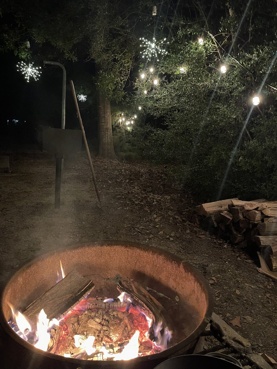 Caroline Roemer tweet media