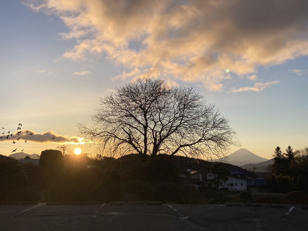 2024年　明けましておめでとうございます。